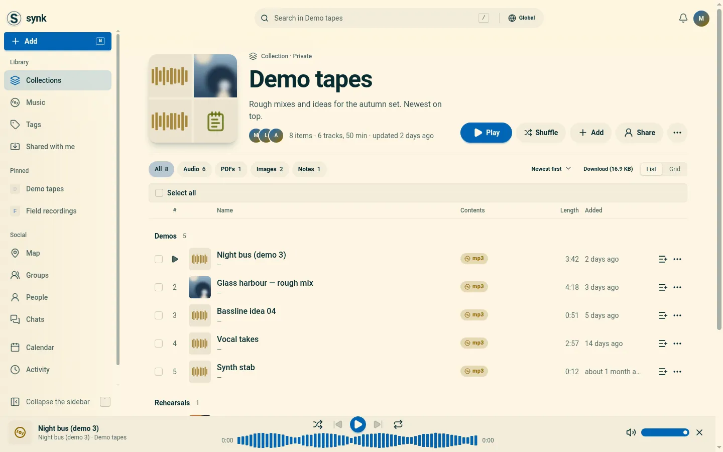 A collection in Synk, with a track in the player