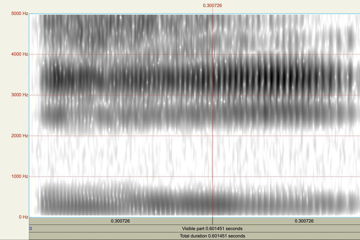Sound archives and field recordings
